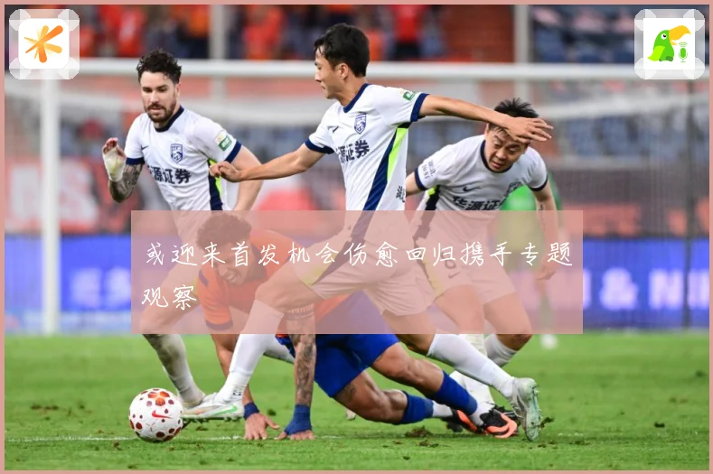 或迎来首发机会伤愈回归携手专题观察