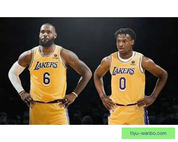 詹姆斯赞布朗尼具备NBA实力 强调家族做事从不敷衍